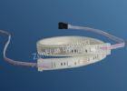 LED Flexible Strip  ZH-LSF5050RGB60